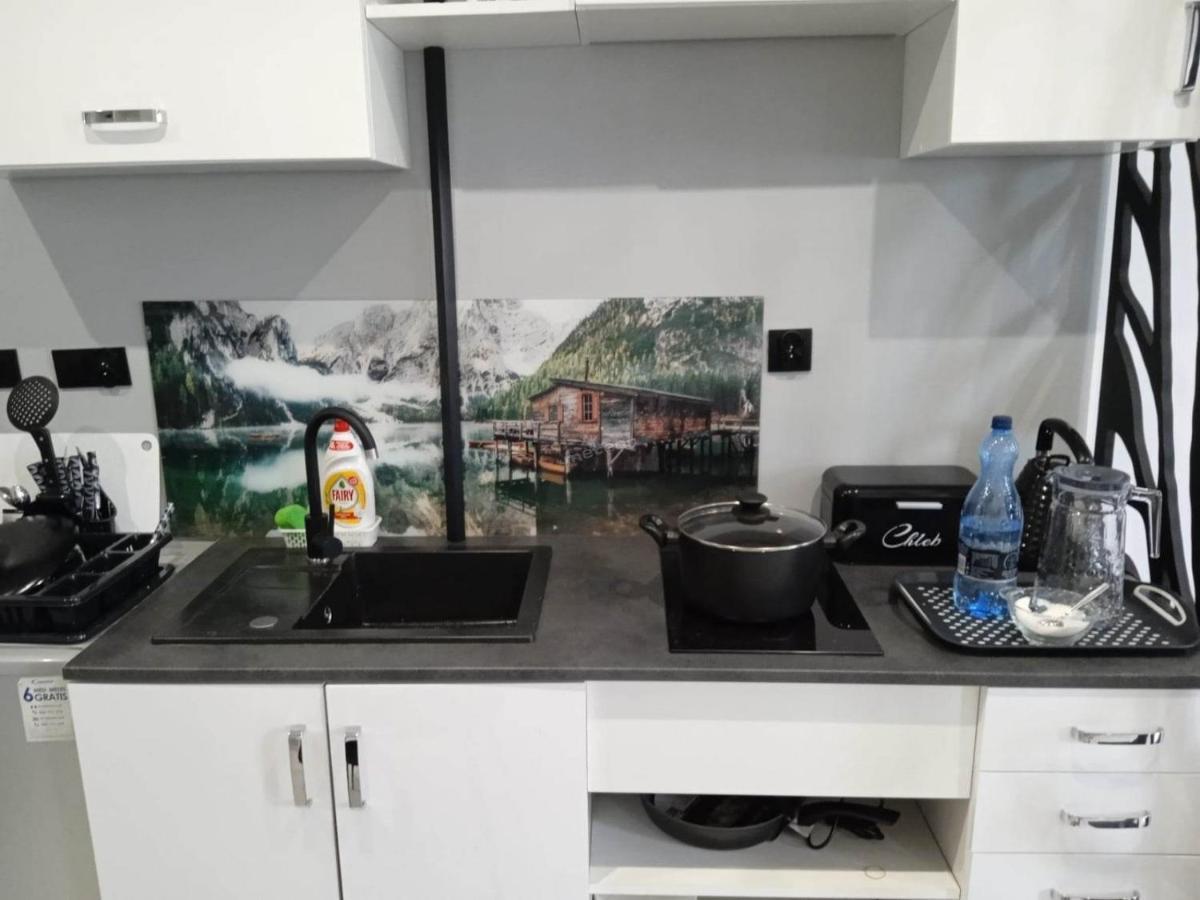 Komfortowy Apartament U Baltazara Душники-Здруй Екстер'єр фото